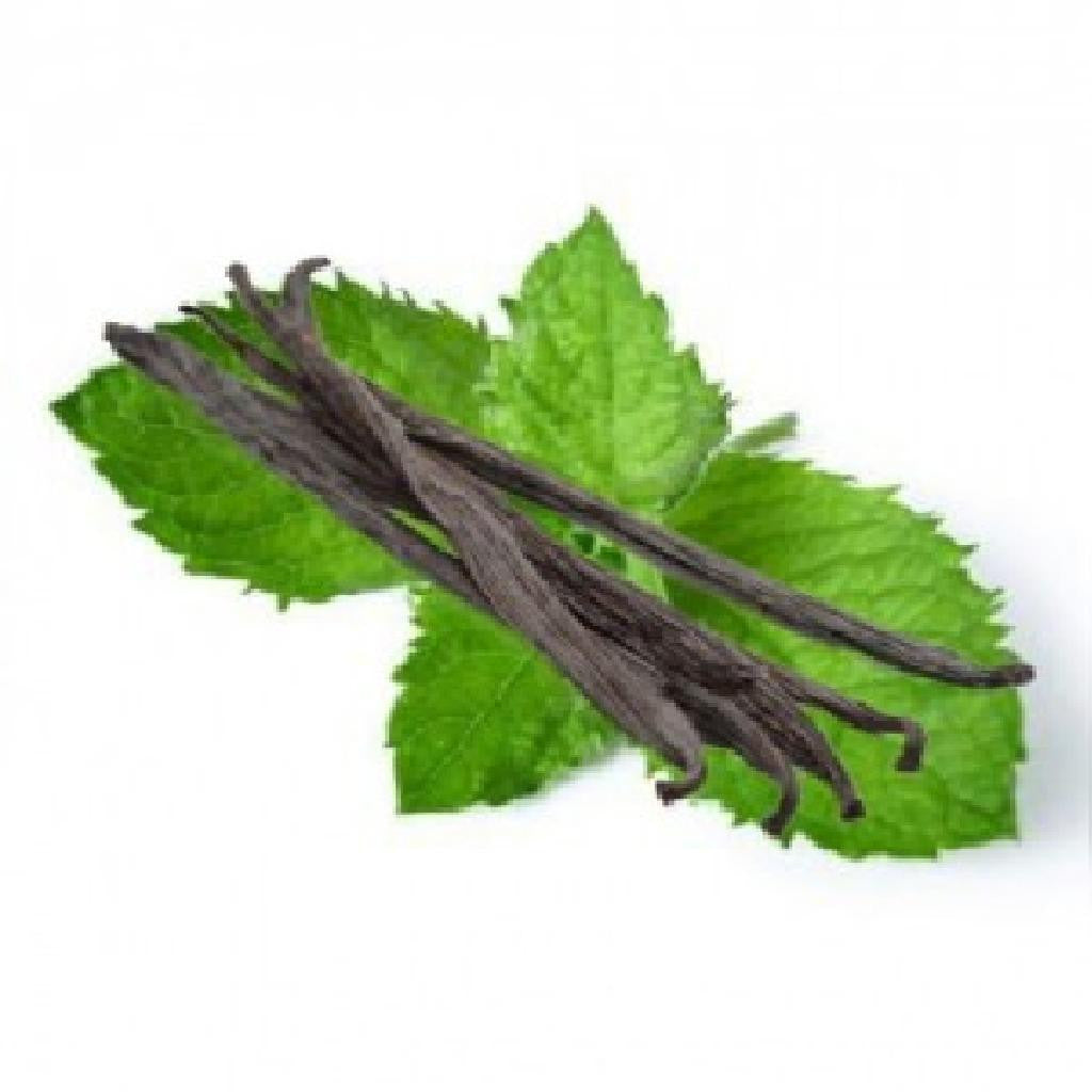 VANILLA Menthol