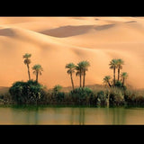Kalahari Mirage