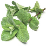 Menthol Smooth